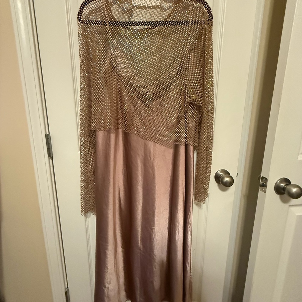 Dolan (Anthropologie) Rose Gold Mesh Top & Dress